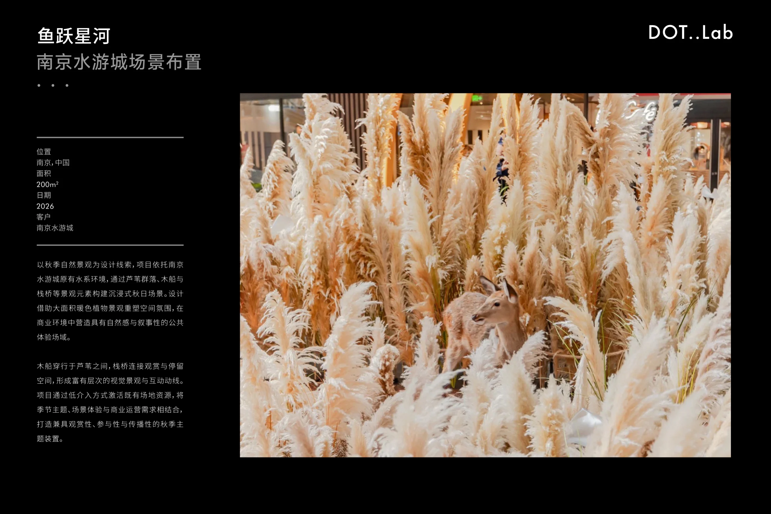 鱼跃星河项目资料第 1 页